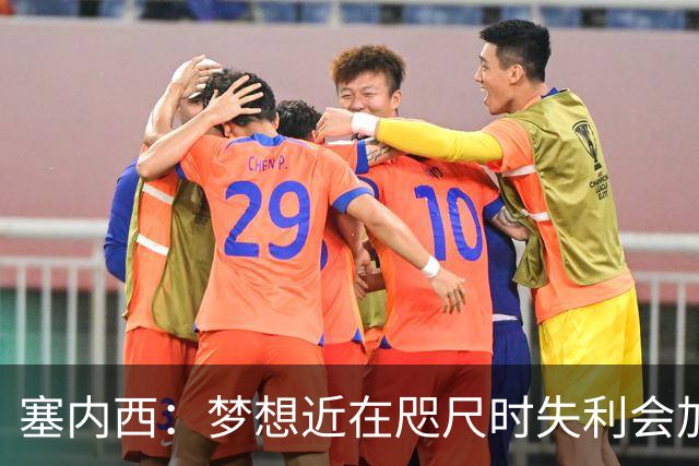 塞内西：梦想近在咫尺时失利会加倍刺痛，我们会重新站起来