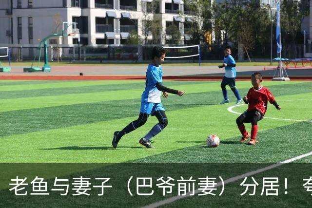 老鱼与妻子（巴爷前妻）分居！夸梅：你怎么得到她的就会怎么失去